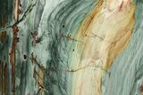 Free-Standing, Gary Green Jasper (Larsonite) Bog Wood - Oregon #334751-3